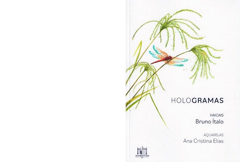 Hologramas, Bruno Ítalo